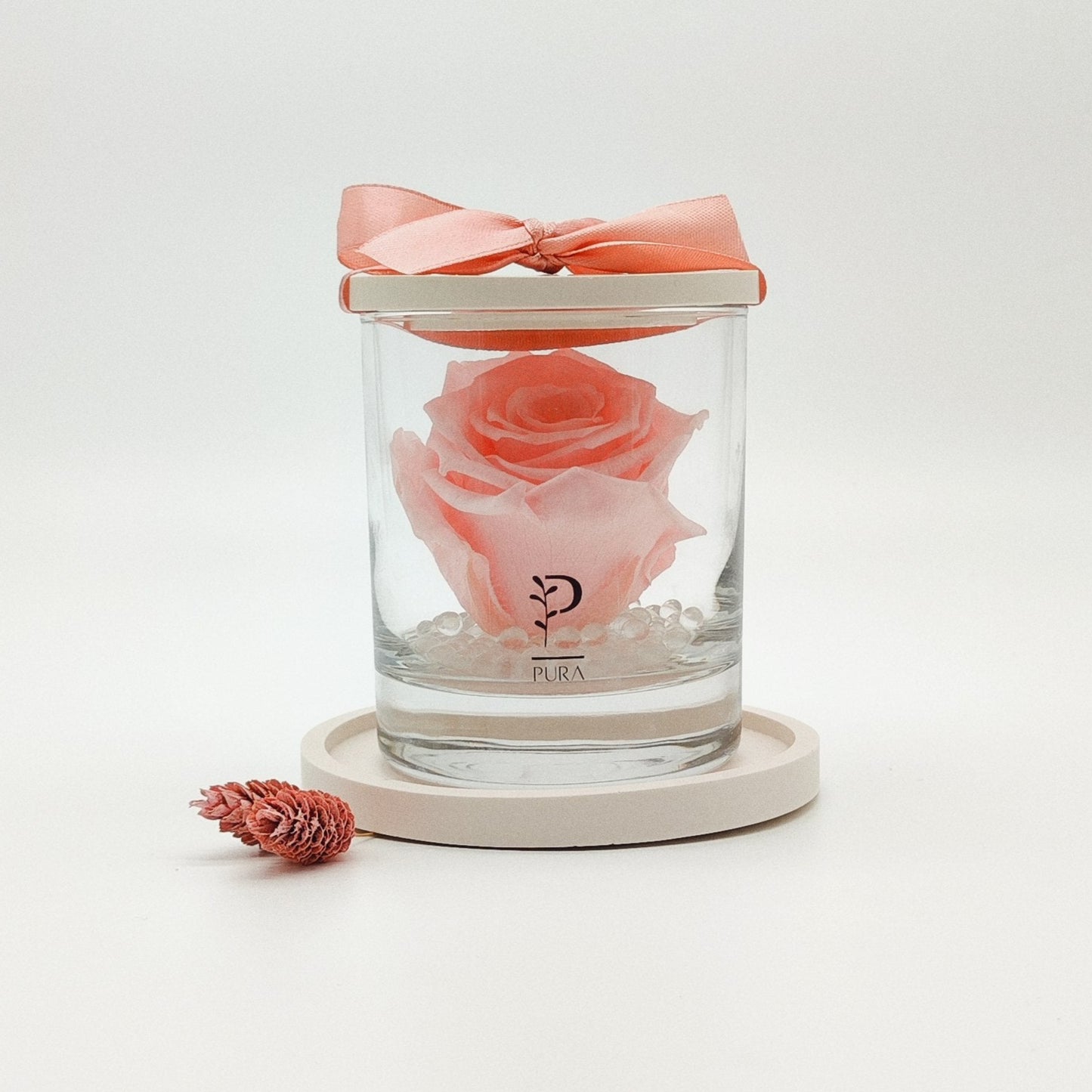 Rosa Preservada em Frasco