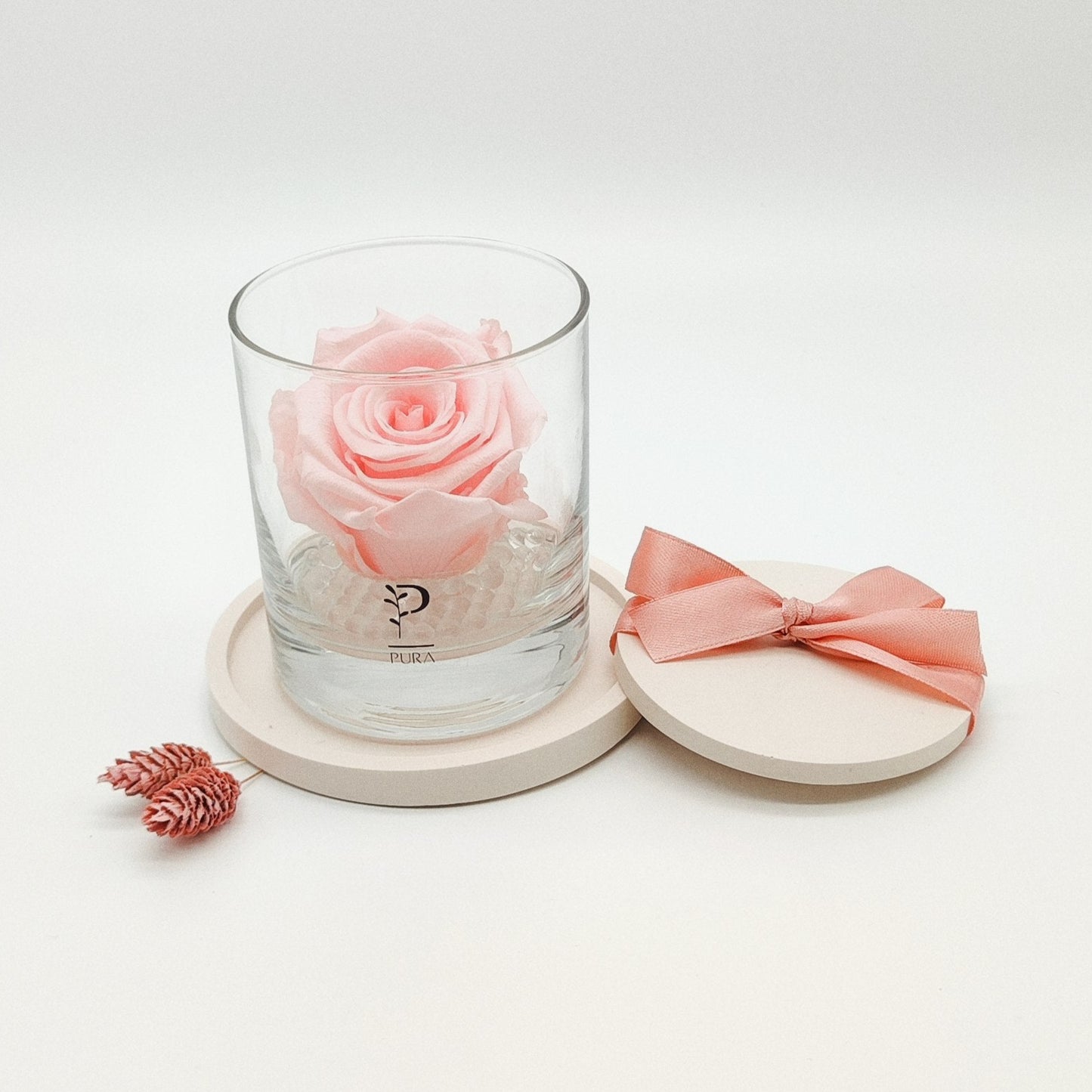 Rosa Preservada em Frasco