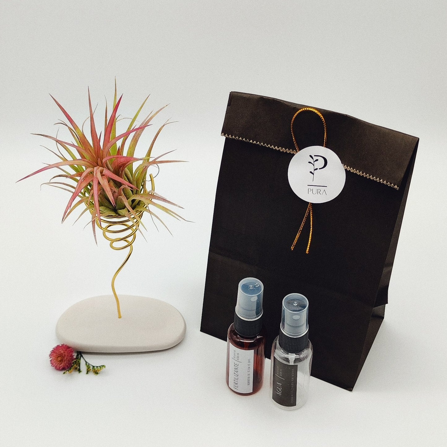 Planta Aérea Grande