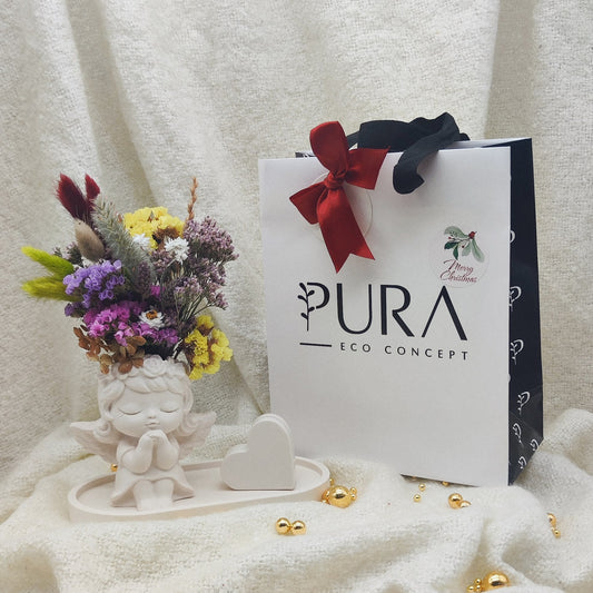 Coffret Aurora #2