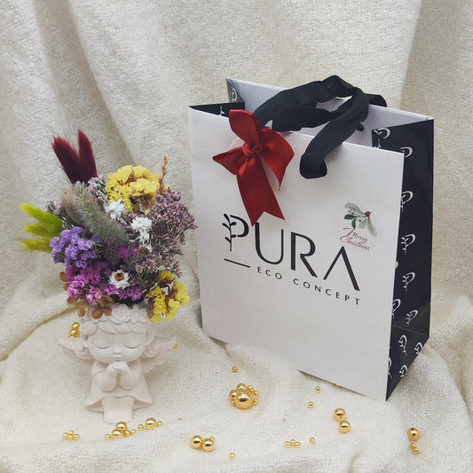 Coffret Aurora #1