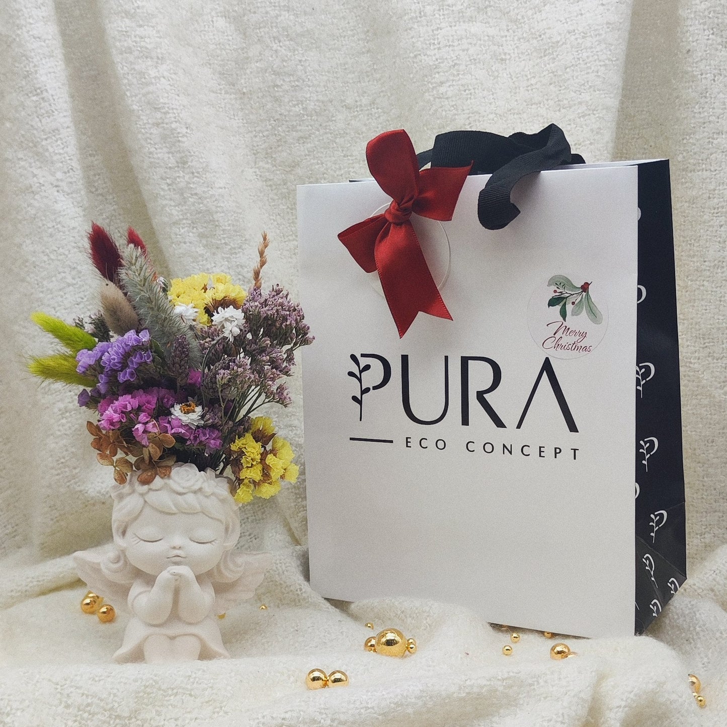 Coffret Aurora #1