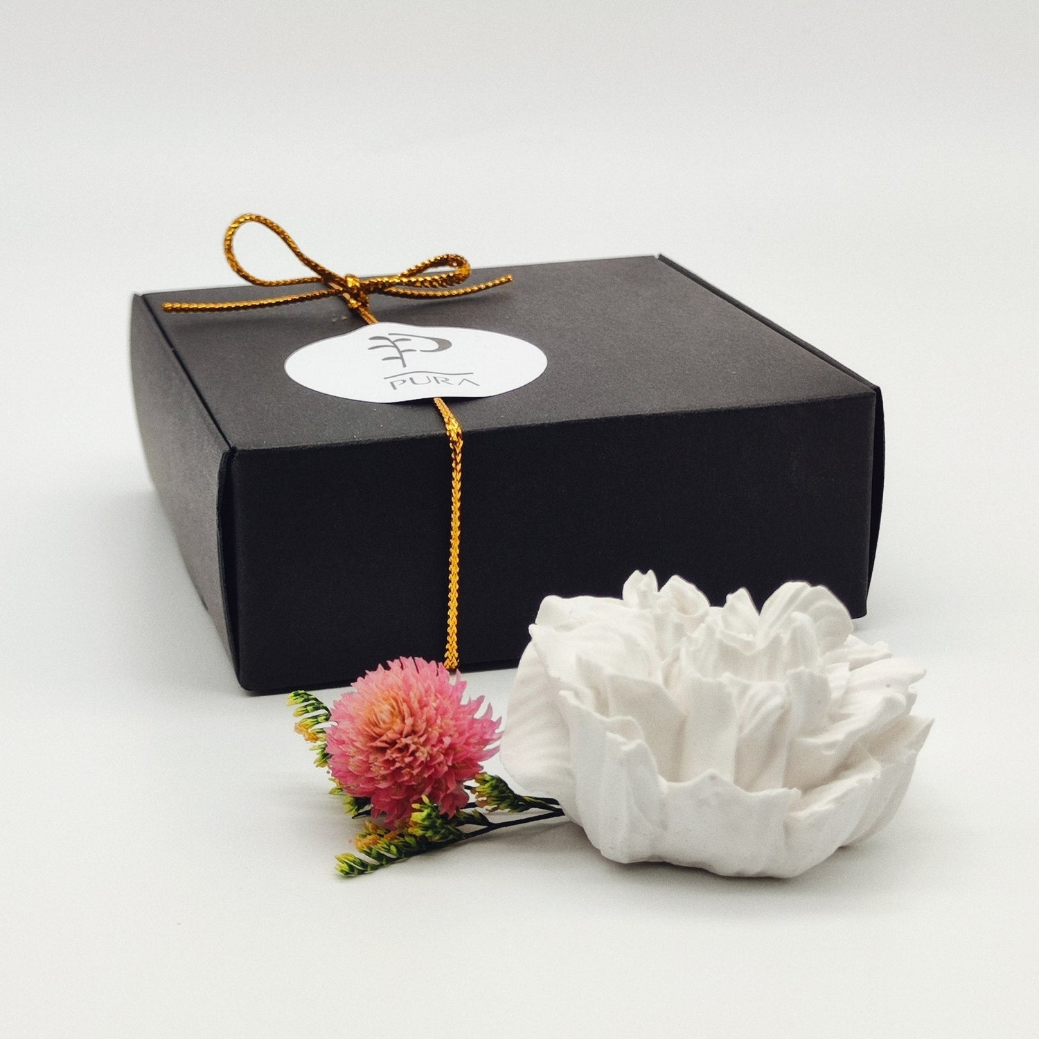 Coleção Dia da Mulher