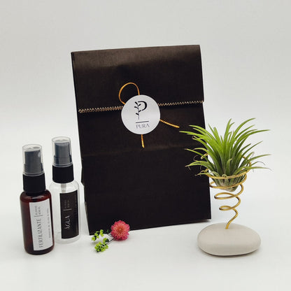 Kit Planta Aérea