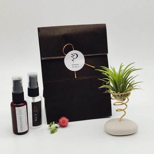 Kit Planta Aérea