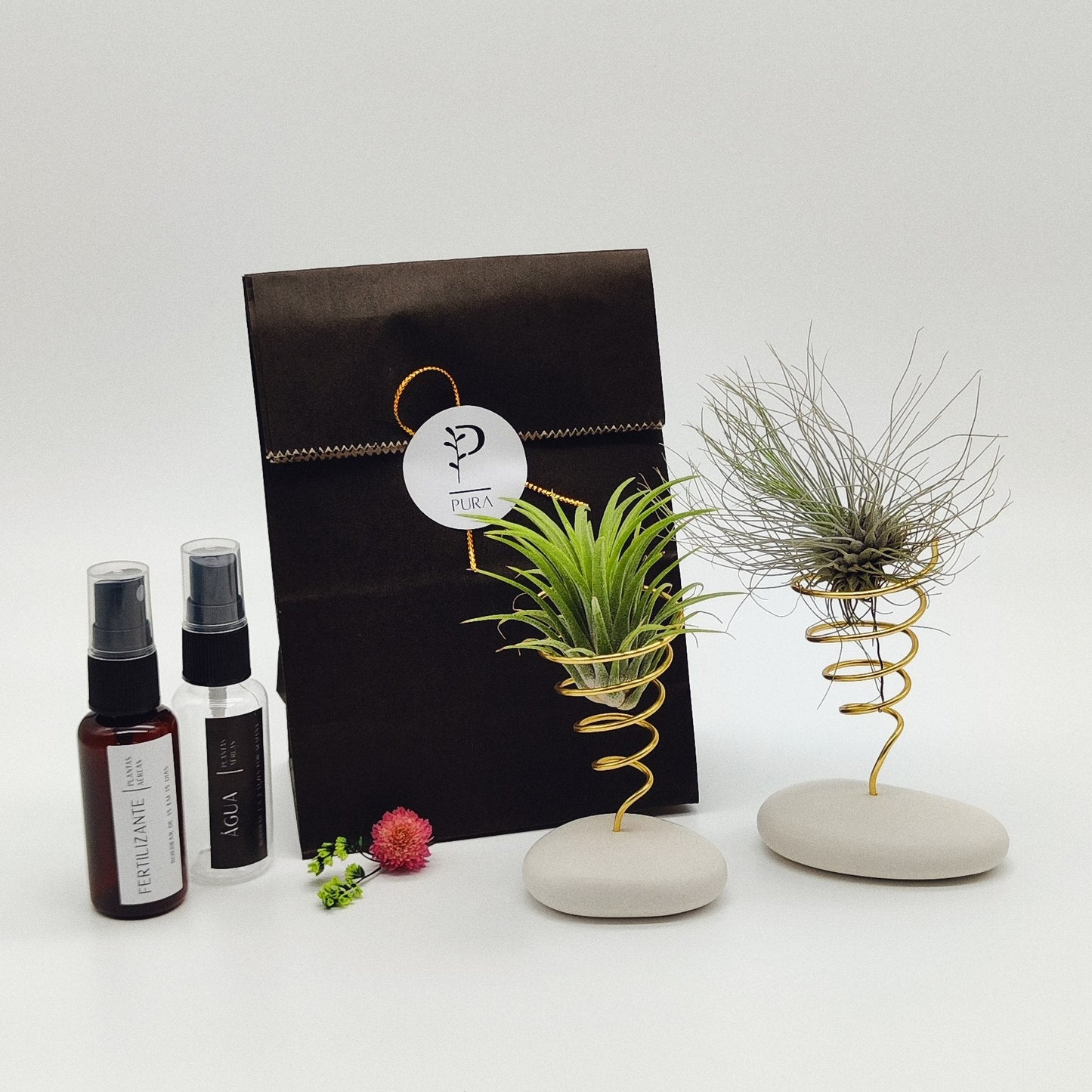 Kit Plantas Aéreas Duo