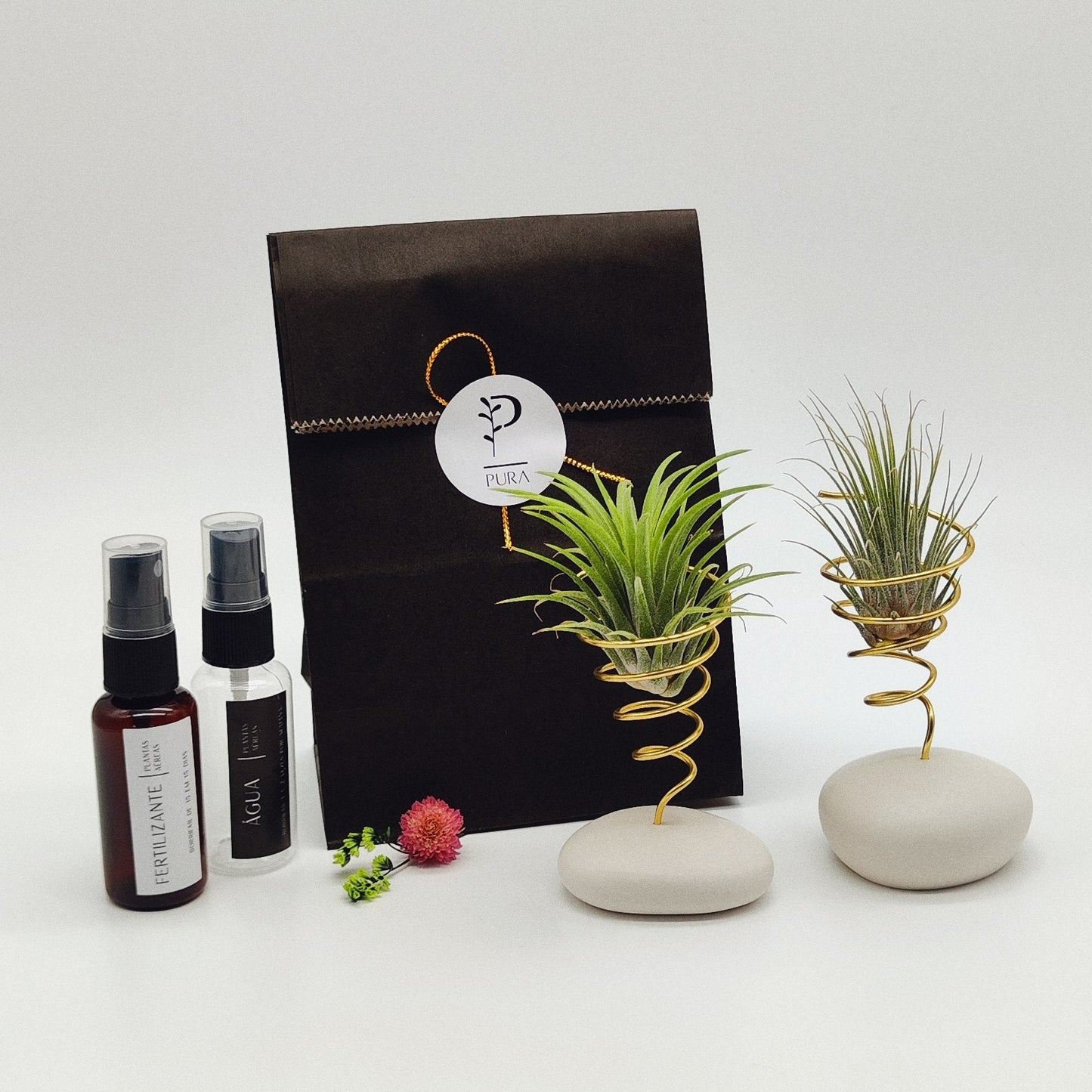 Kit Plantas Aéreas Duo