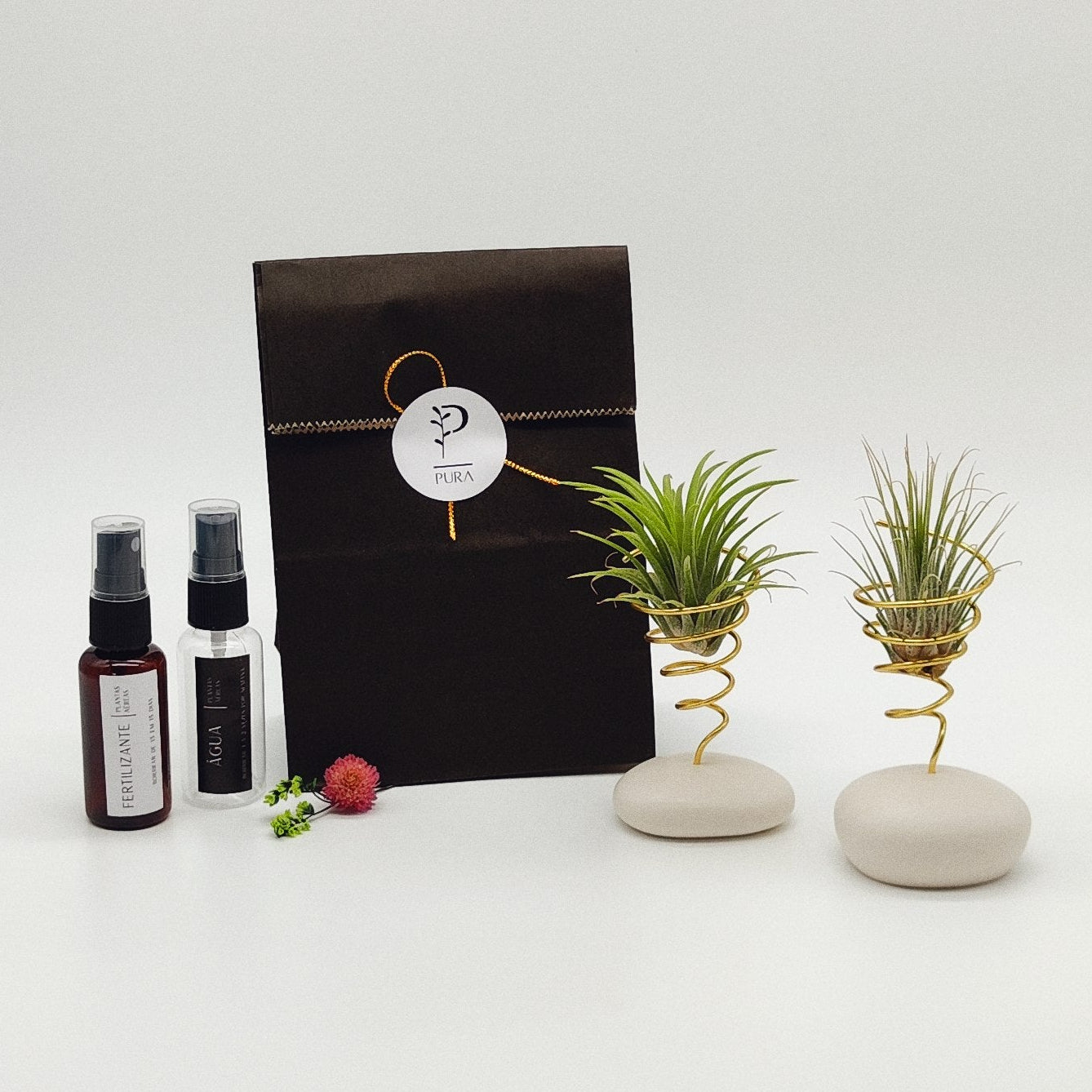 Kit Plantas Aéreas Duo