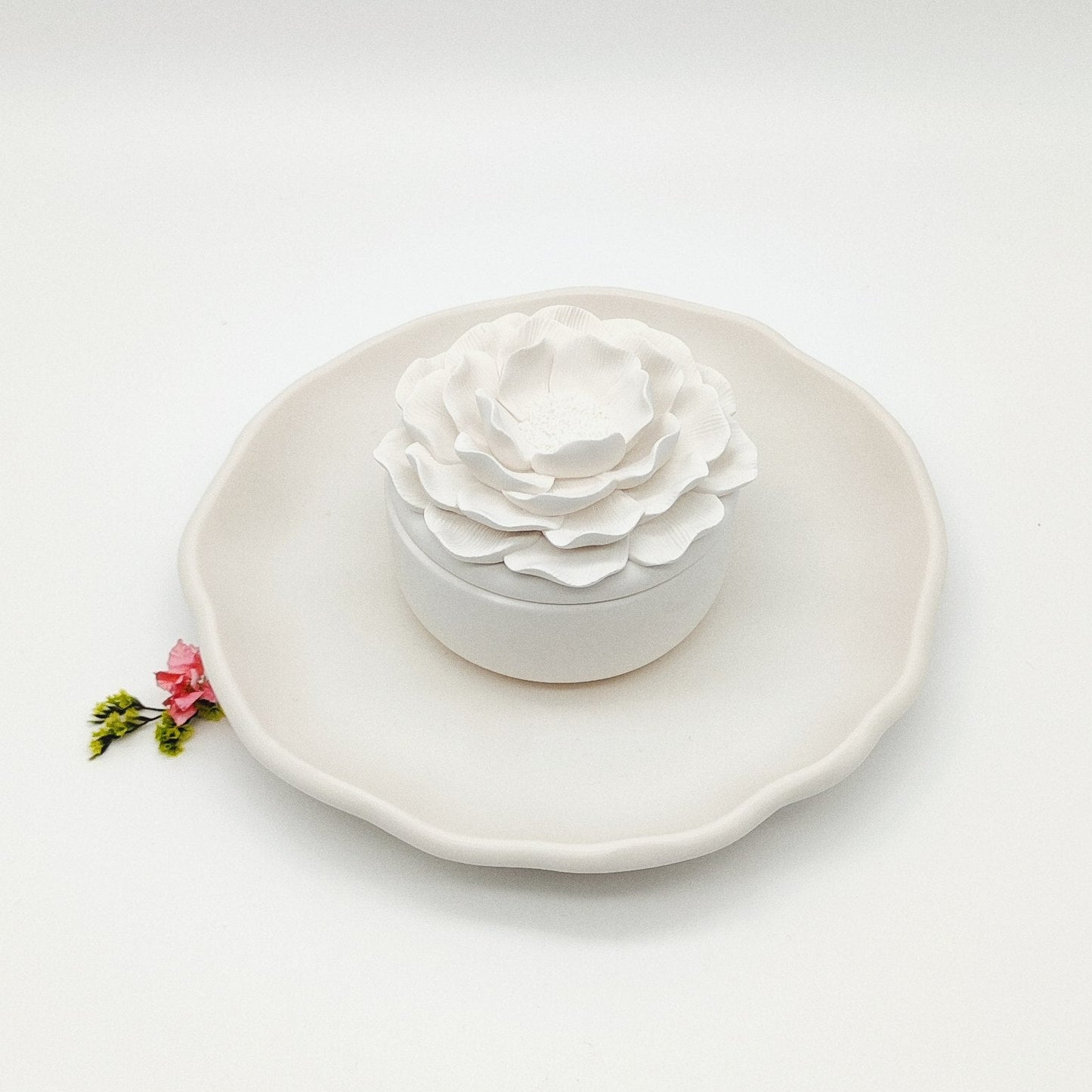 Seleção Vela Anémona