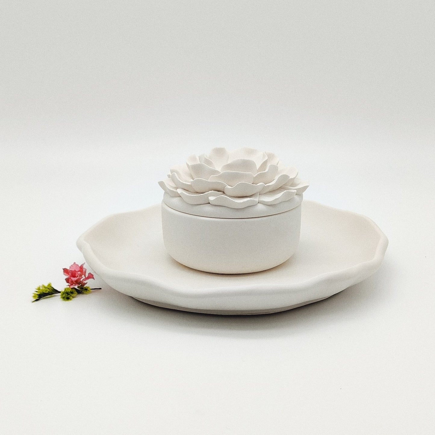 Seleção Vela Anémona