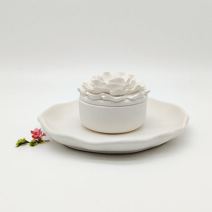 Seleção Vela Anémona