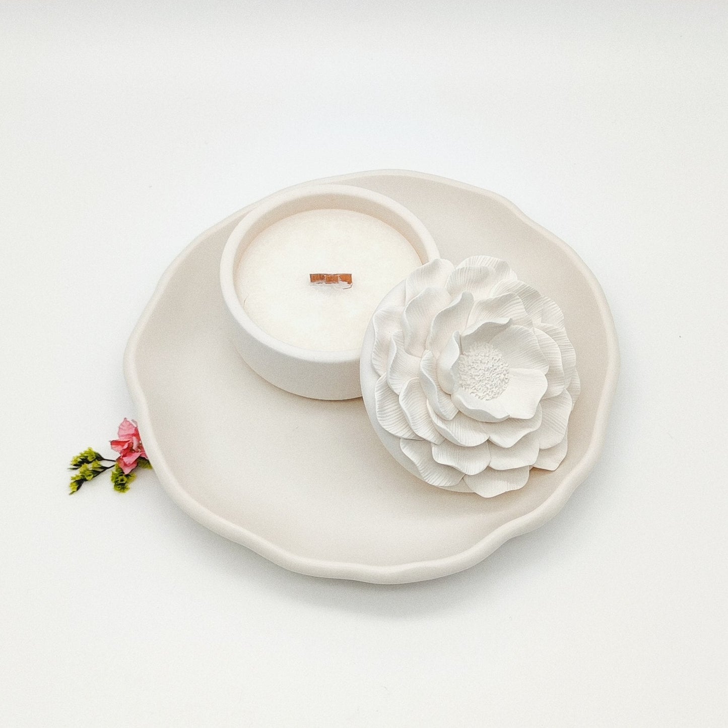 Seleção Vela Anémona