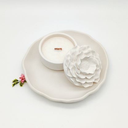 Seleção Vela Anémona