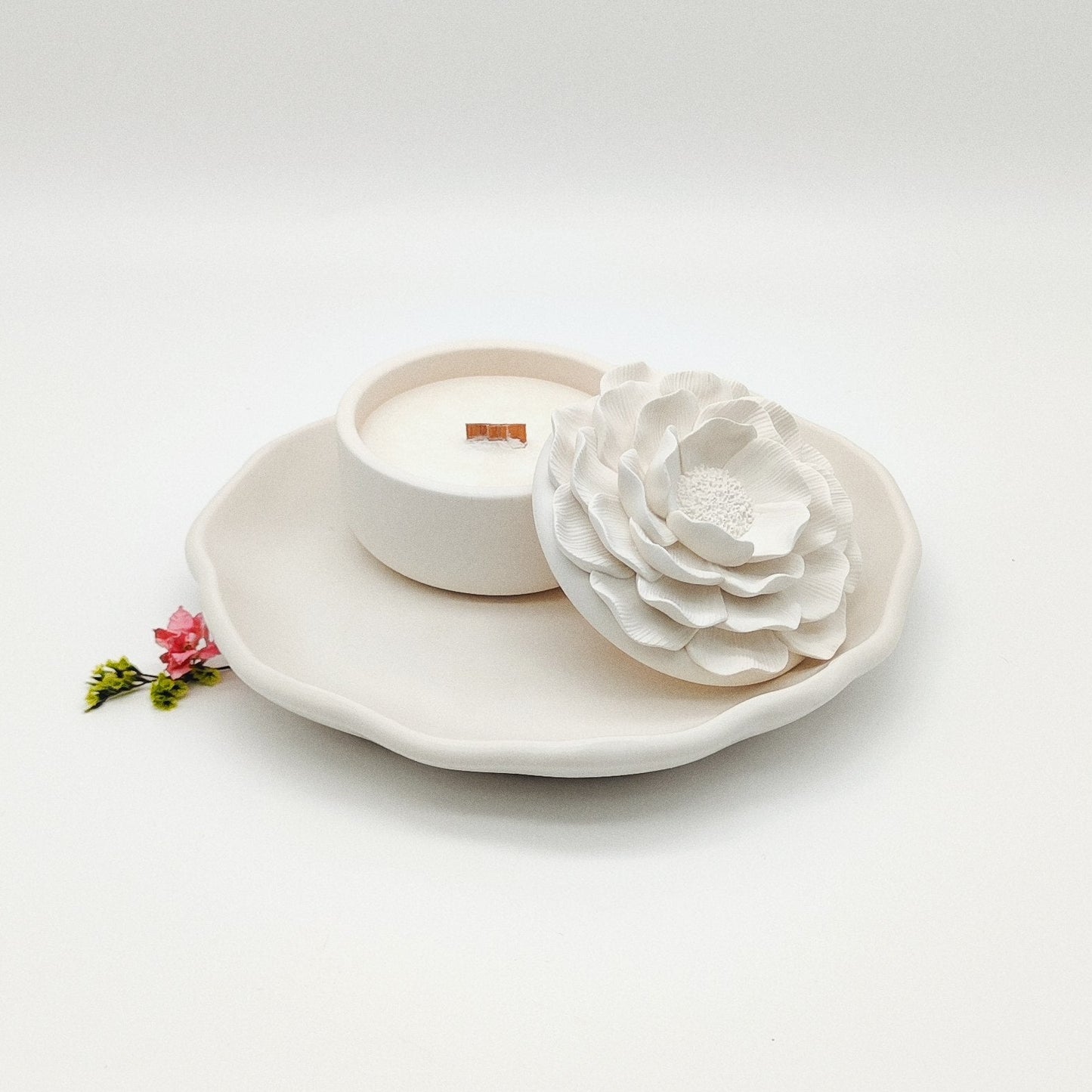 Seleção Vela Anémona