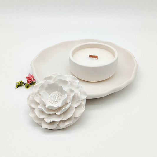 Seleção Vela Anémona