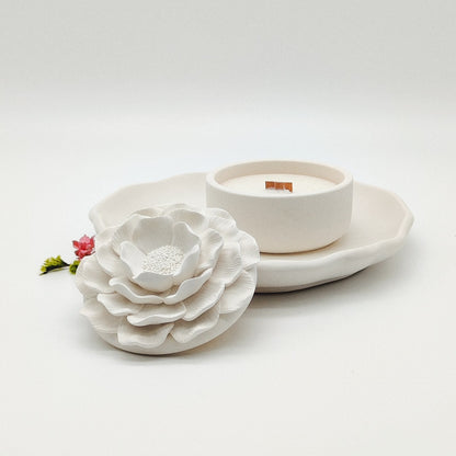 Seleção Vela Anémona