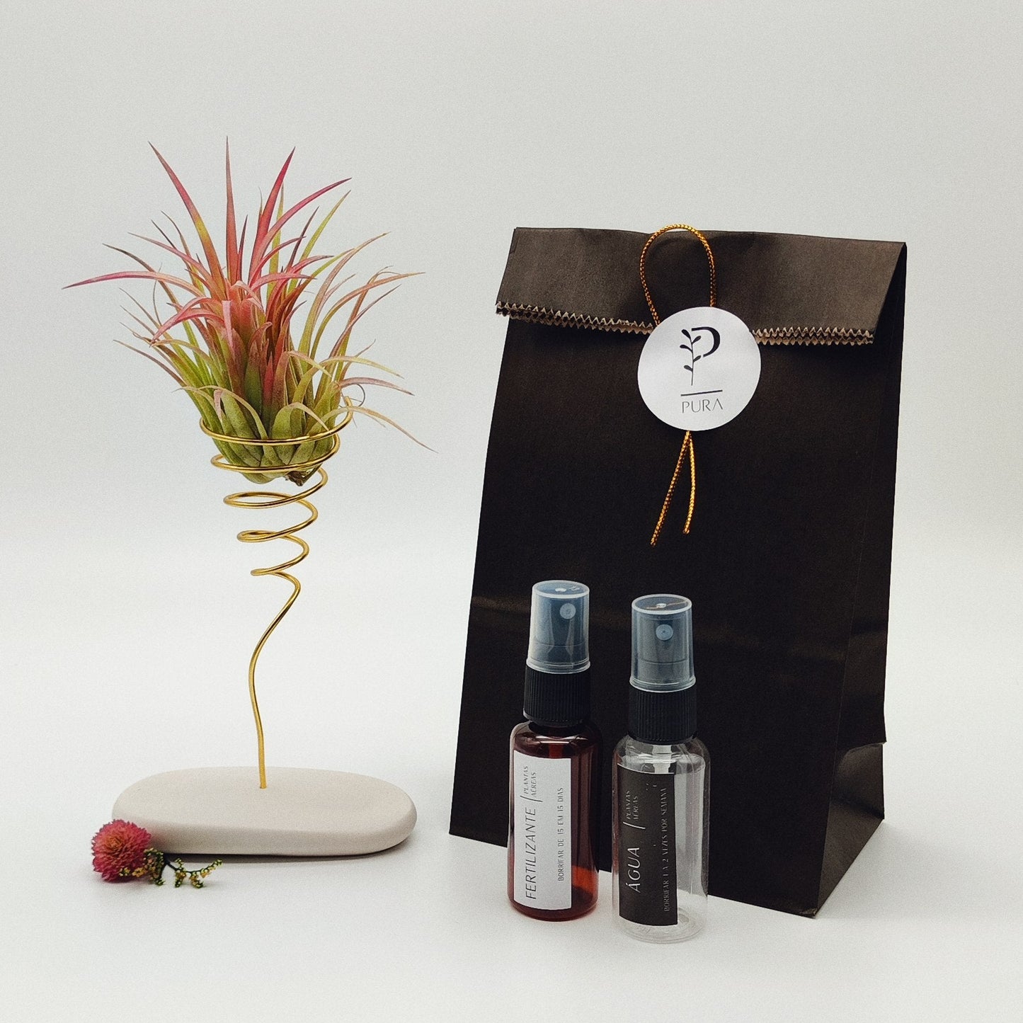 Coffret Planta Aérea Grande