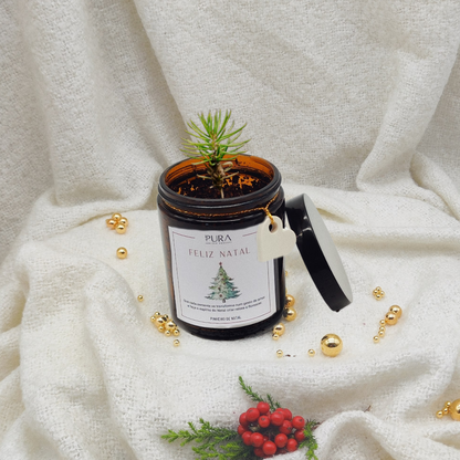 Coffret Kit Frasco de Sementes Natalício