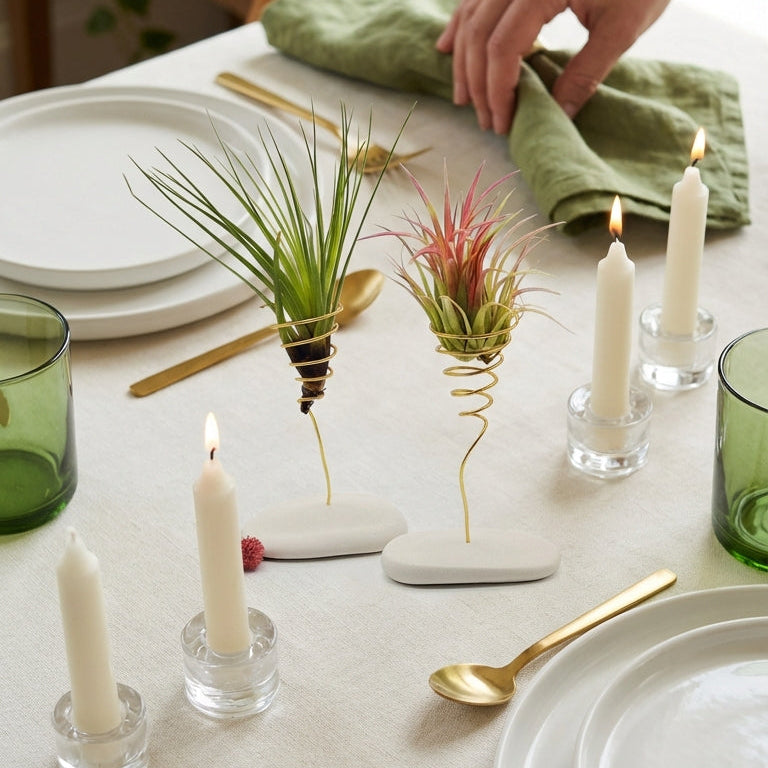 Coffret Planta Aérea Grande