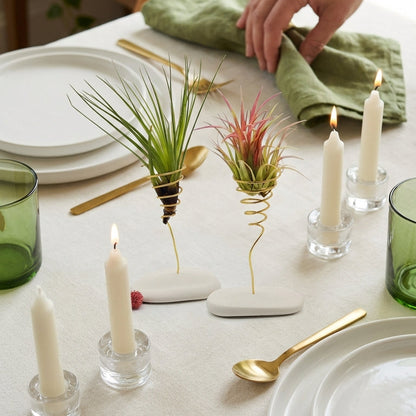 Coffret Planta Aérea Grande