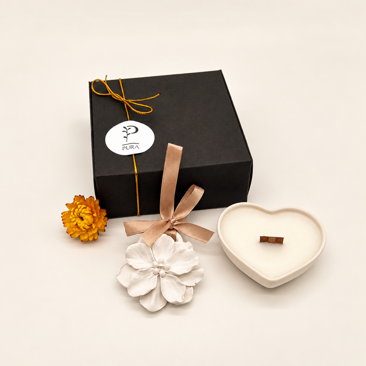 Coffret Colo de Luz