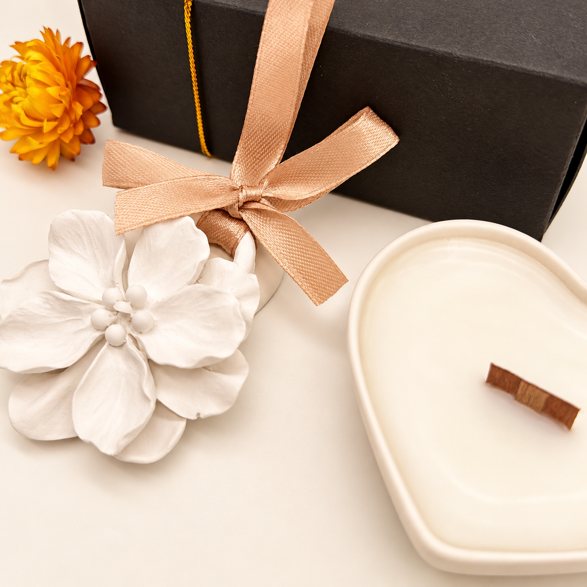Coffret Colo de Luz