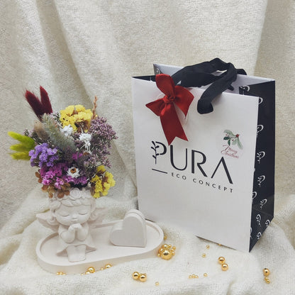Coffret Aurora #2