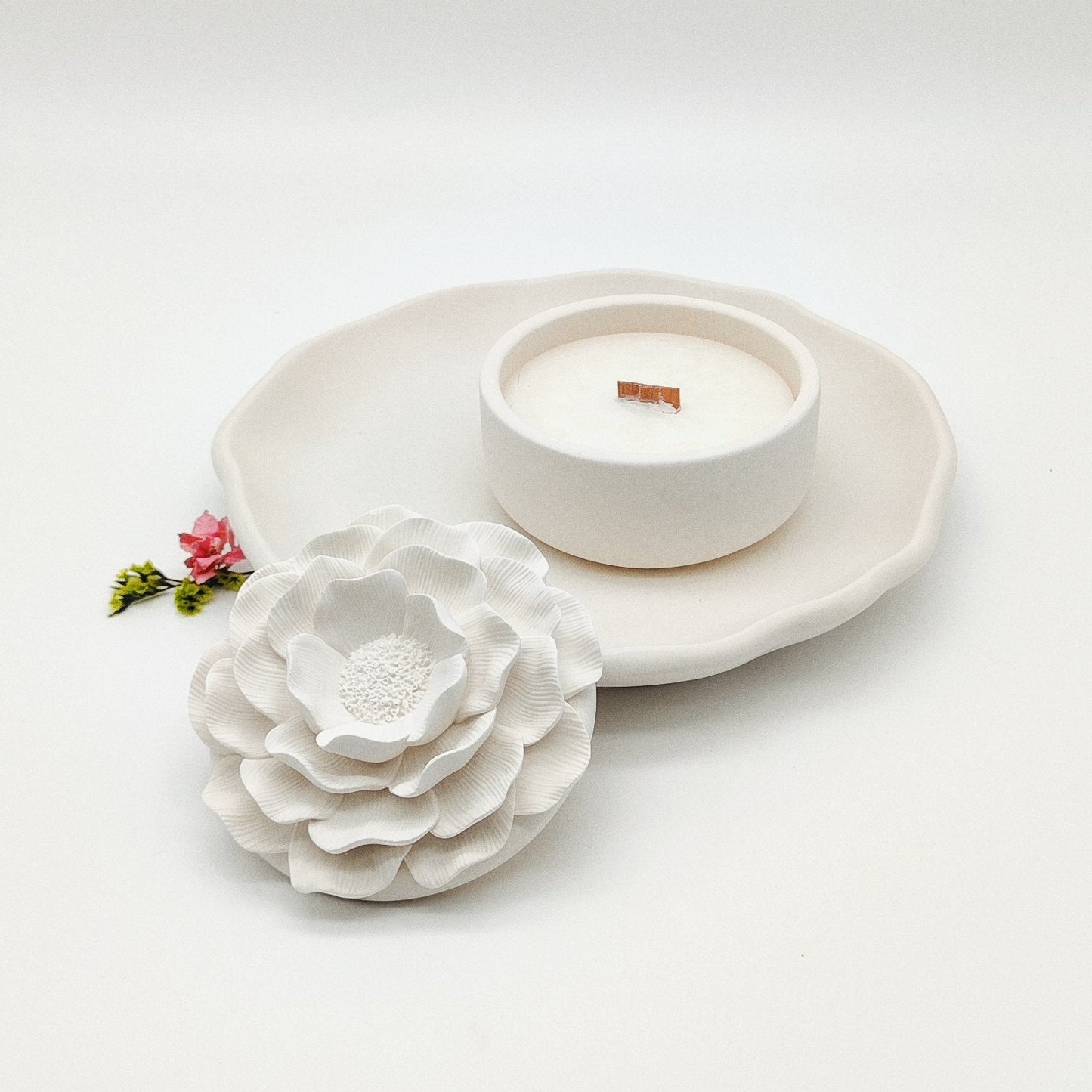 Seleção Vela Anémona