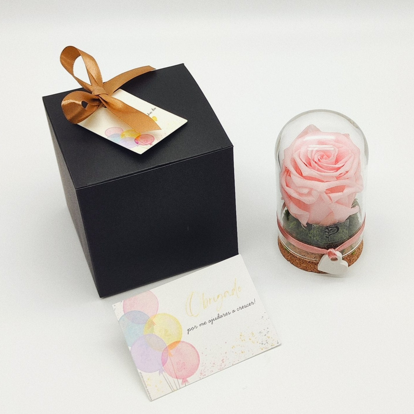 Coffret Rosa Preservada em Campânula