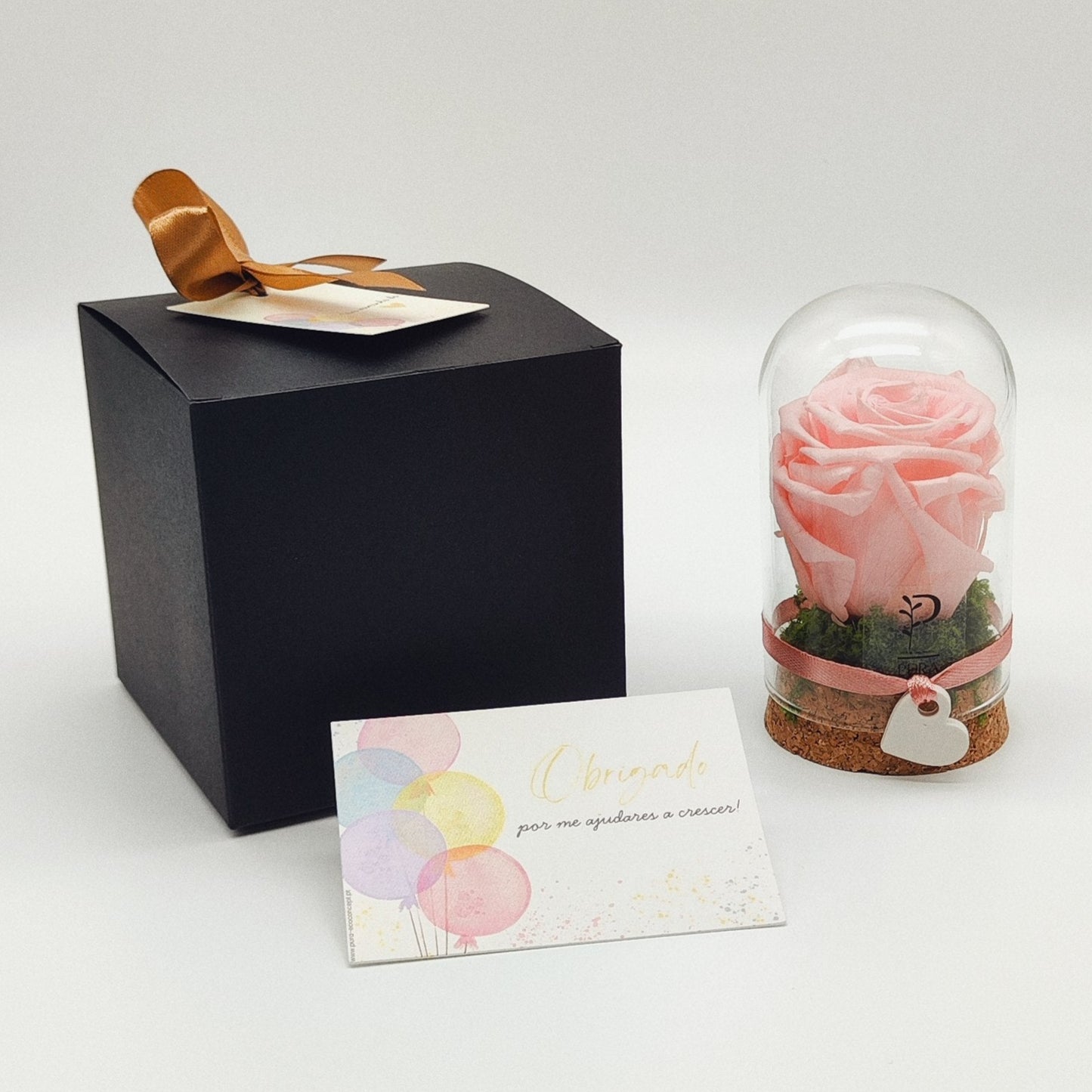 Coffret Rosa Preservada em Campânula